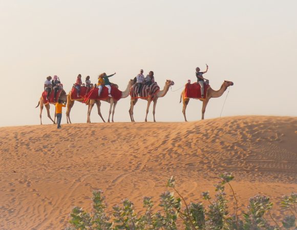 Exploring the magic of Dubai Desert Safari