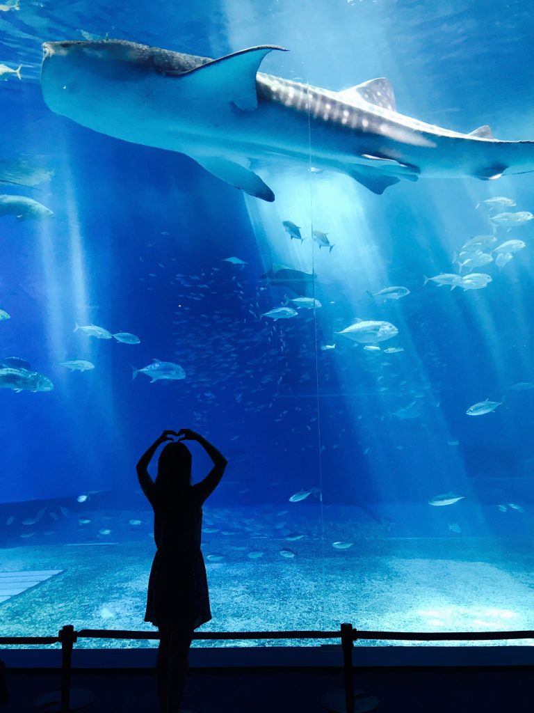 The Dubai Aquarium and Underwater Zoo