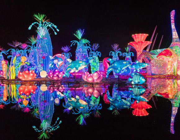 Unveiling the Enchanting World of Dubai Garden Glow