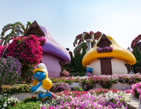 The Dubai Butterfly Garden