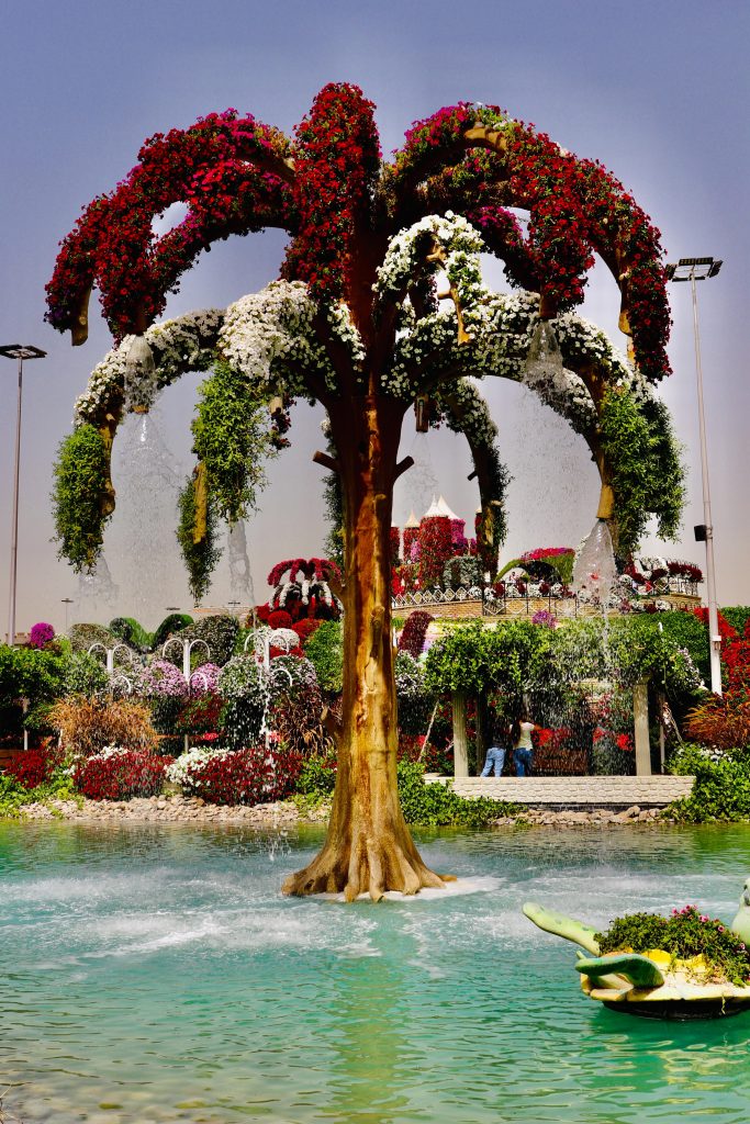 Dubai Miracle Garden