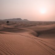 Dubai Desert Photoshoot