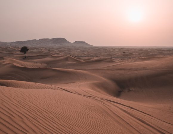 Dubai Desert Photoshoot: Capturing Timeless Beauty
