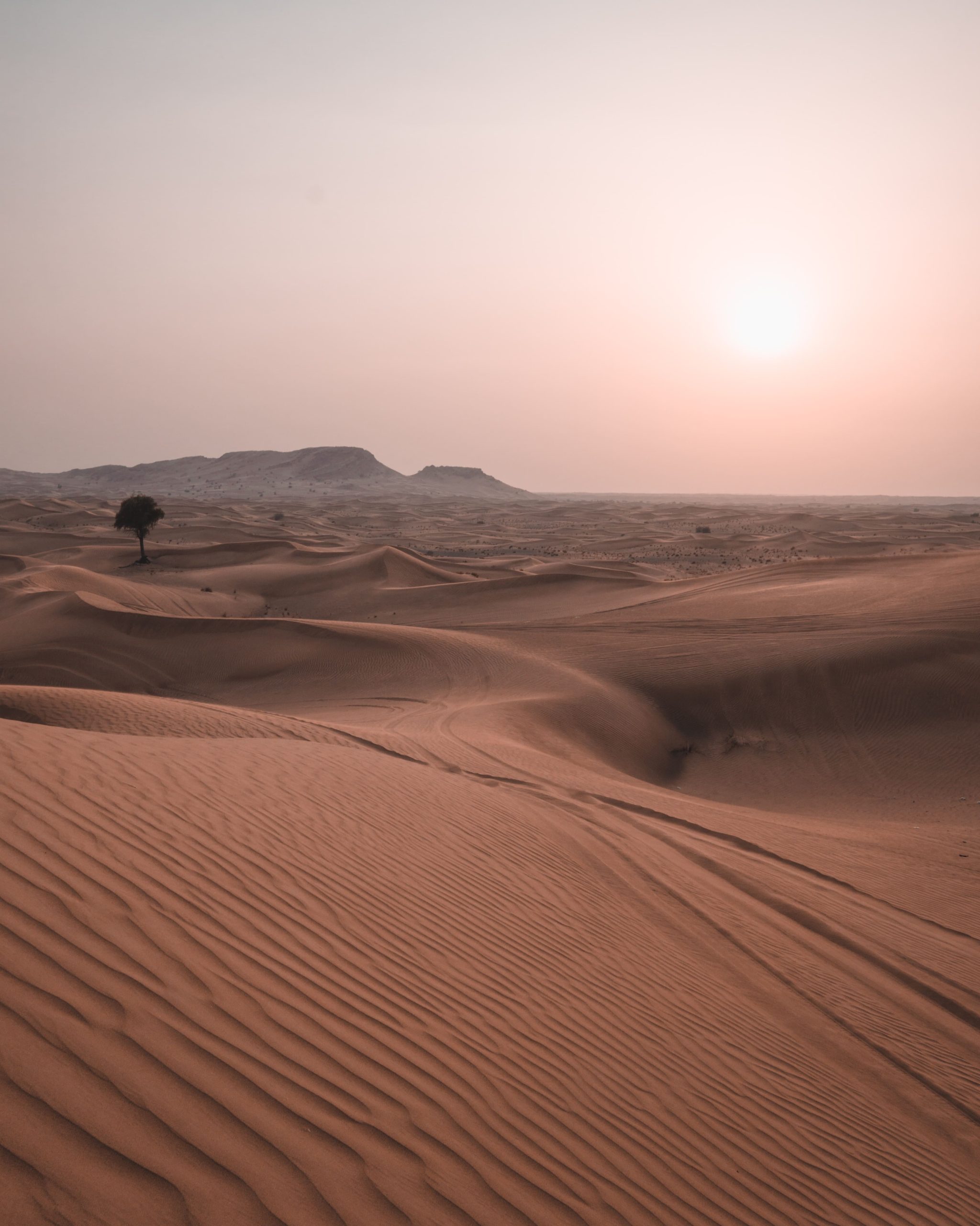 Dubai Desert Photoshoot