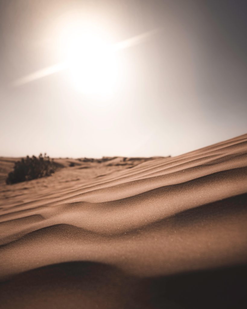 Dubai Desert Photoshoot