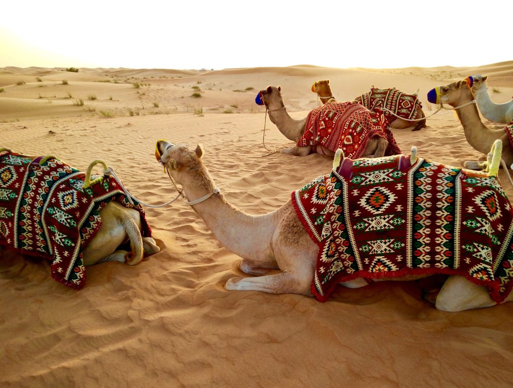 What To Wear In Dubai Safari Desert?